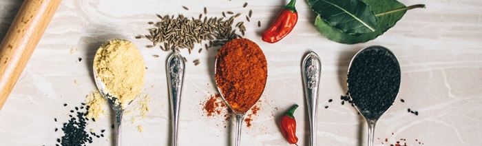 Descubre Más con Nuestros Blogs